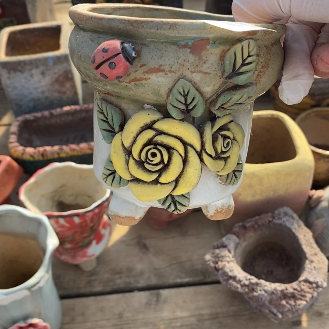 红陶初*43号多肉盆一个呀