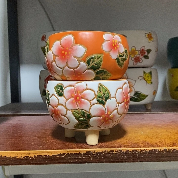 韩式多肉植物花盆