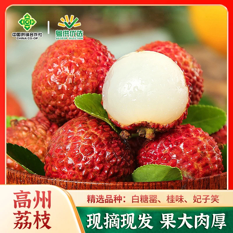 【白糖罂】荔枝广东高州白糖罂荔枝 单果18g+ 新鲜水果礼盒送礼