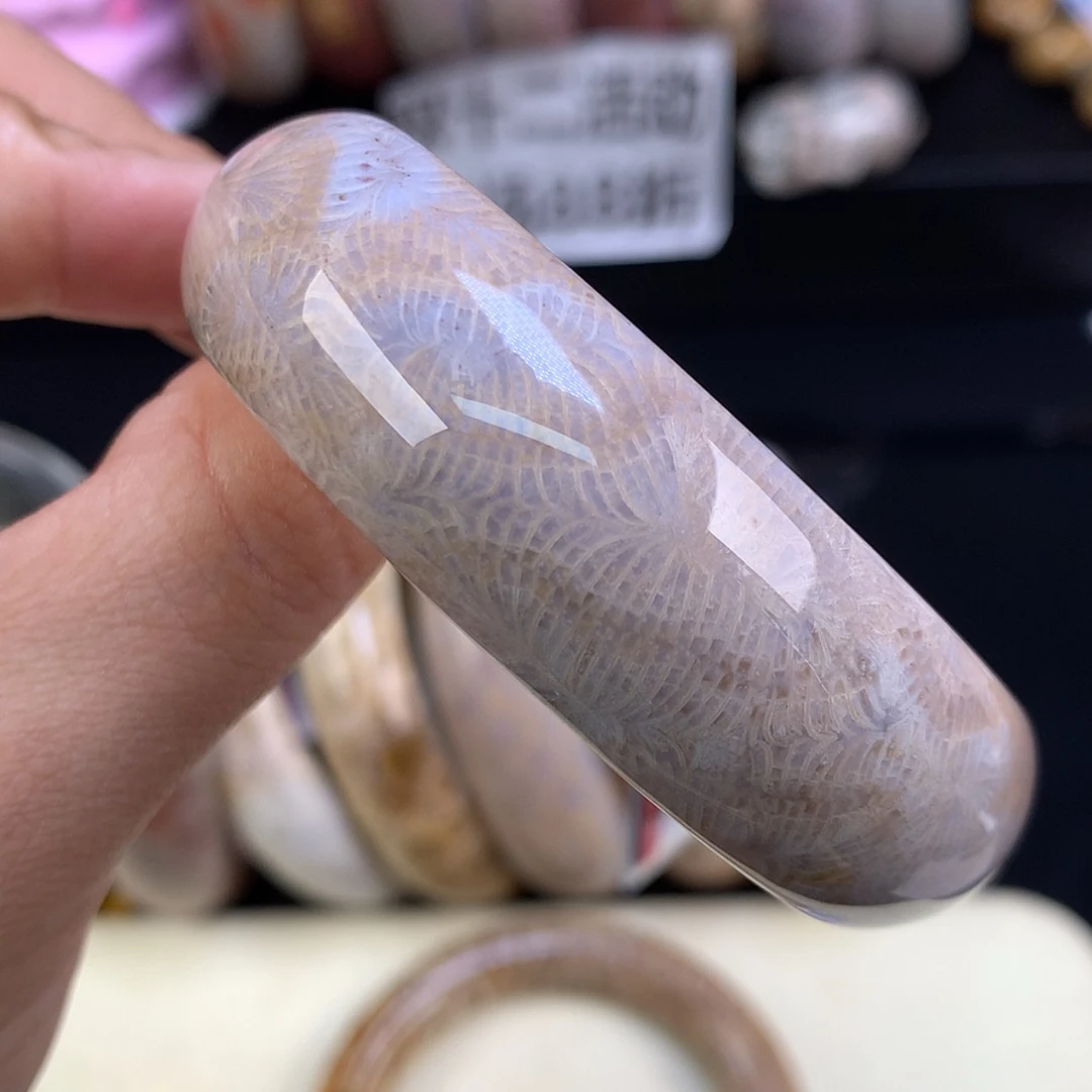 【闪购商品】颈饰未镶嵌硅化珊瑚（珊瑚玉）39号凤尾52.4圈