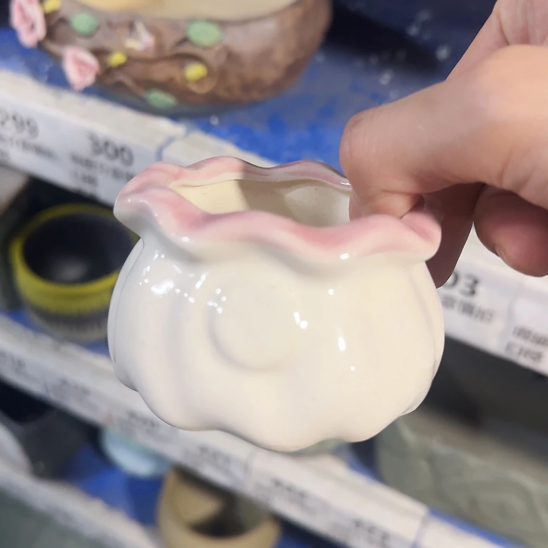 福利局绿植多肉盆［凑9元包邮24小时发］303