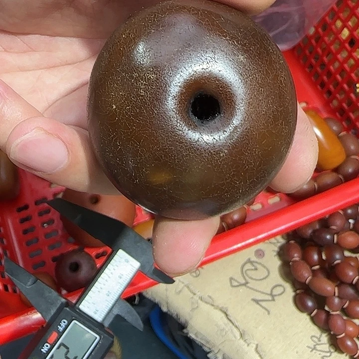 橘皮扣子多样性发其一