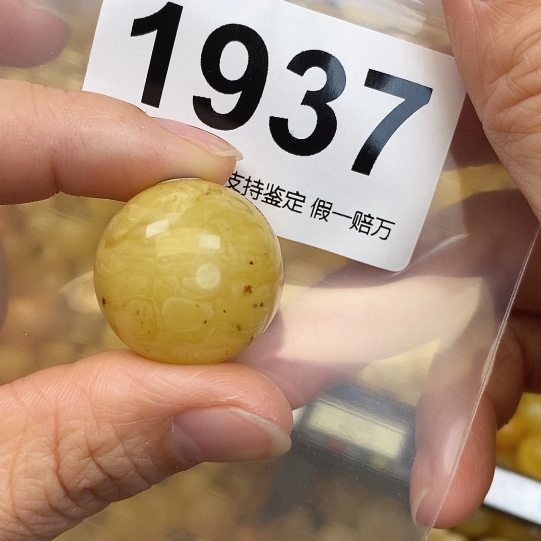 蜜蜡未镶嵌珠宝奇石23.4