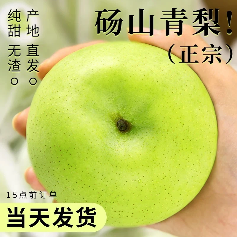 正宗砀山青梨梨子当季新鲜水果砀山青梨皇冠梨翠冠梨青皮蜜梨