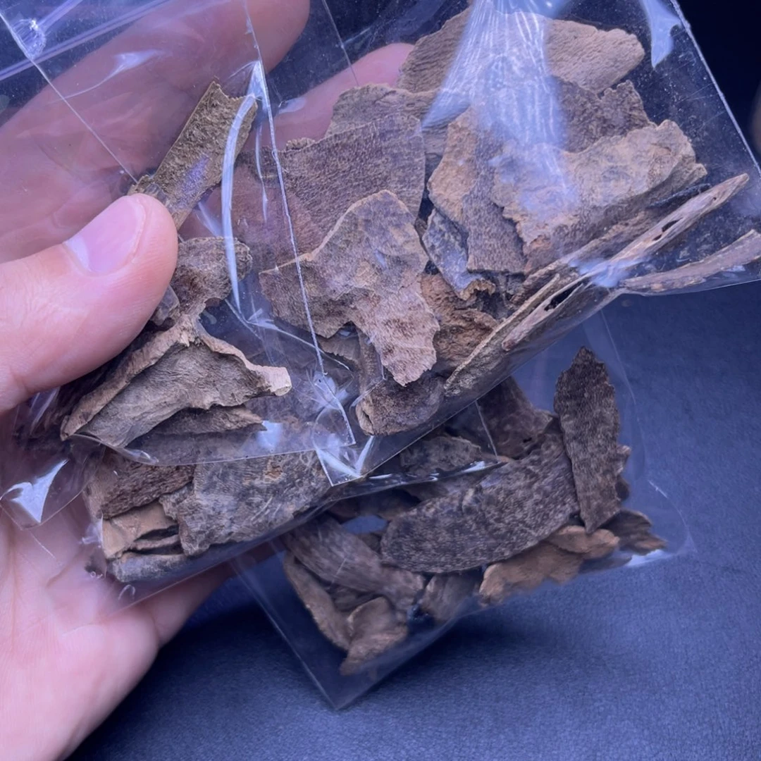 拿***！香榧木海南尖峰岭包头碎料27克