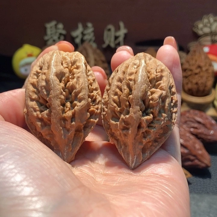 天***木质类聚核财婉楸50