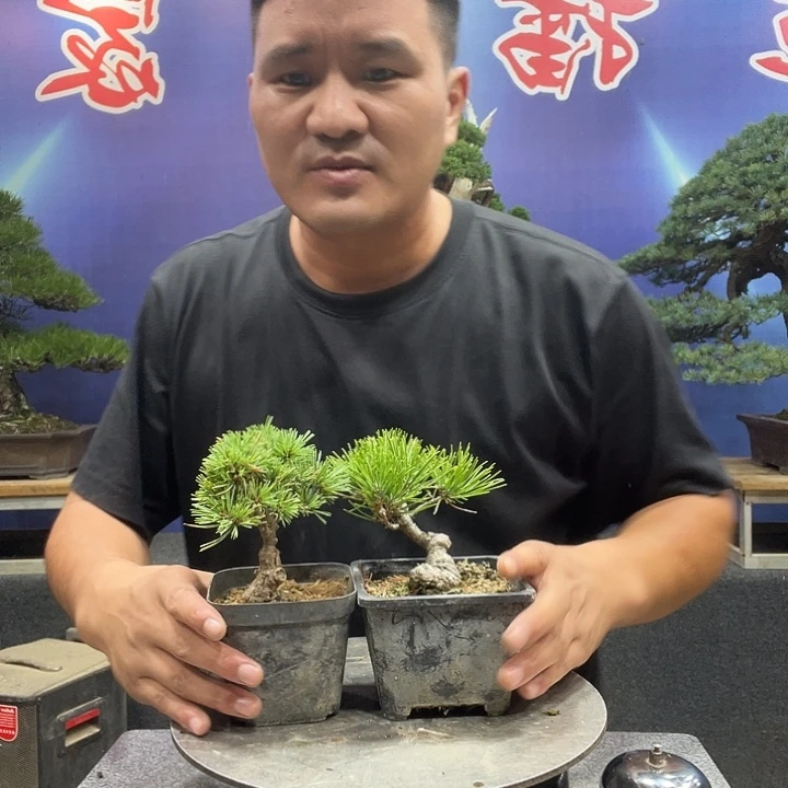 无花朵13355566566