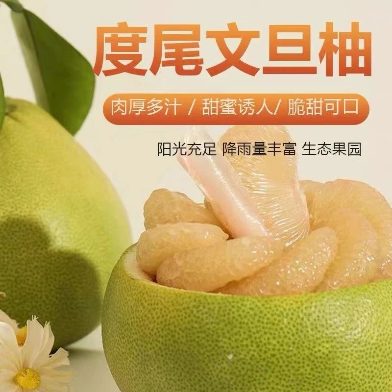福建仙游度尾文旦柚红心蜜柚新鲜应季酸甜多汁水果