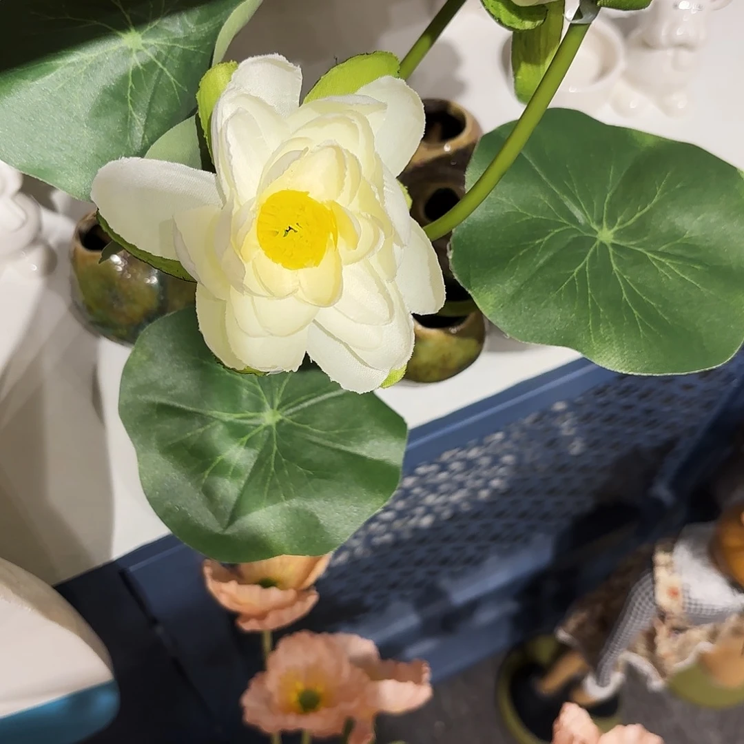 小****a陶瓷艺术设计中心