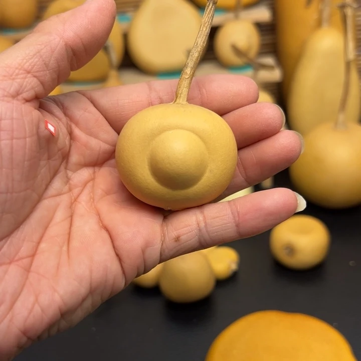 乐***芦5566666666666666