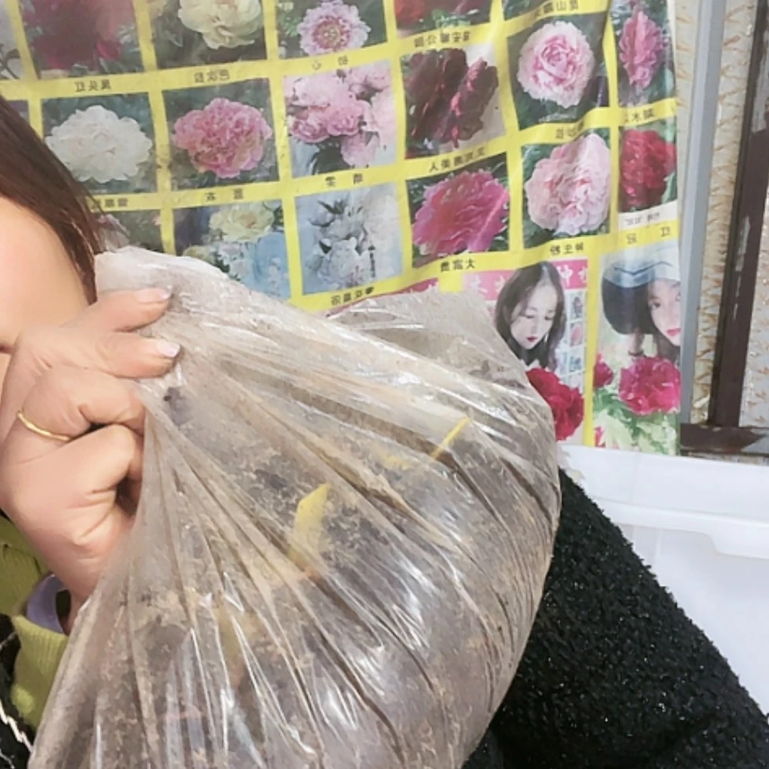 【闪购商品】完全开放香槟9根桃2根