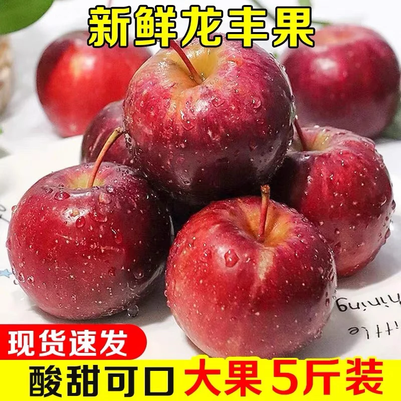东北大秋果龙丰果现摘现发酸甜脆包邮