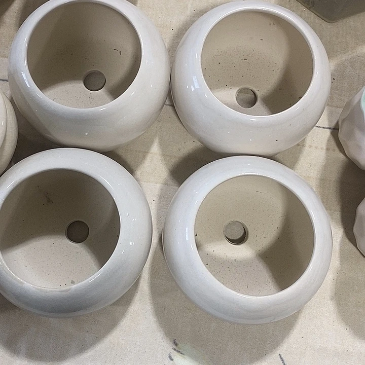 花盆抢购清货马上开始