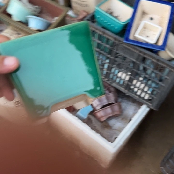 不用急哈就能来拿东西给