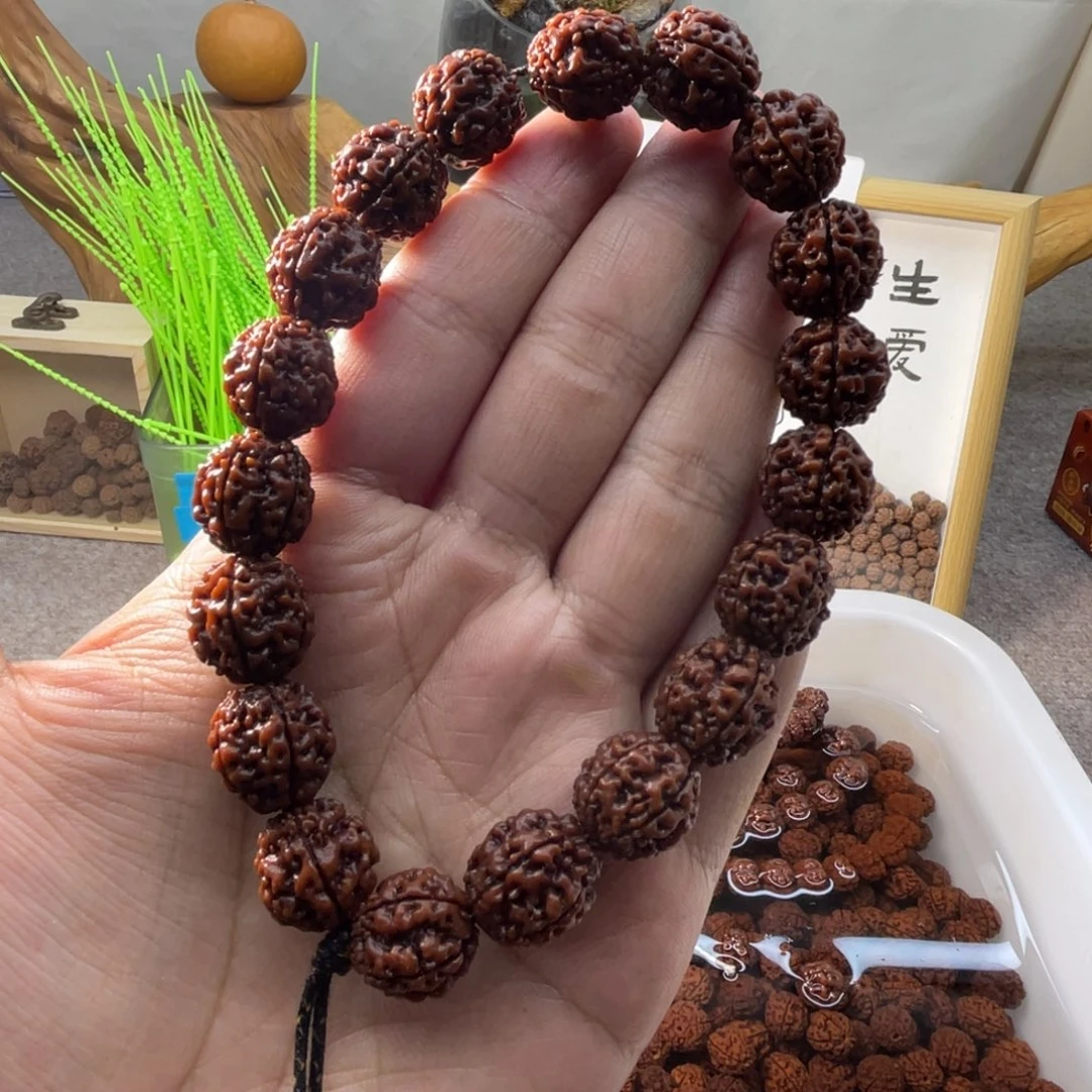 吊坠金刚菩提原生态全品盘龙王