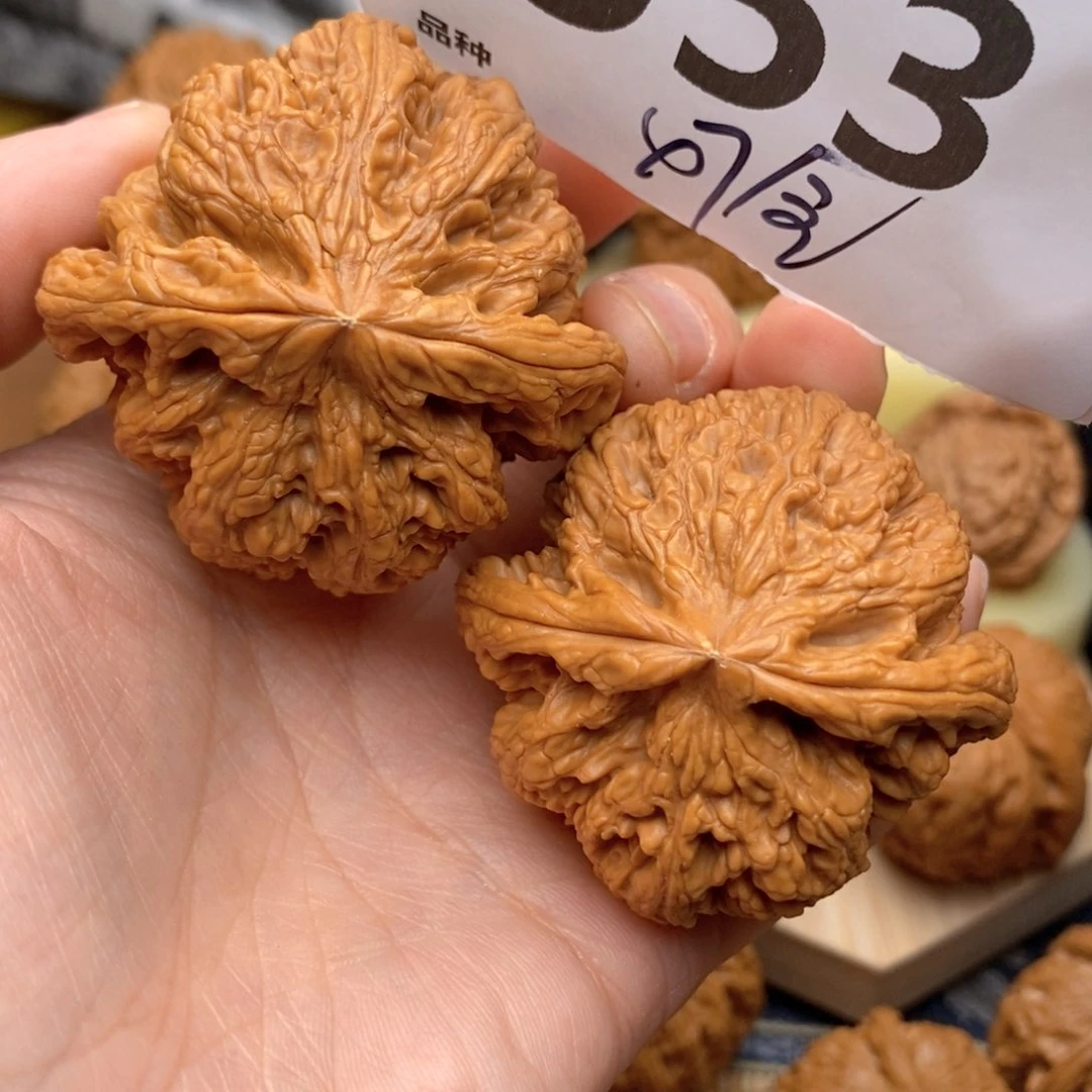 文玩核桃把件553号47全粗筋