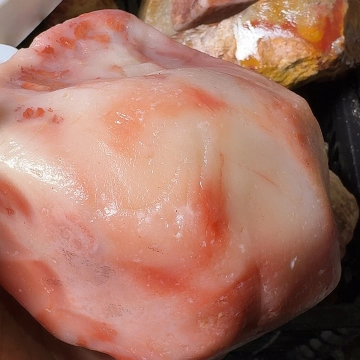 起***汗寿山石老挝石素质