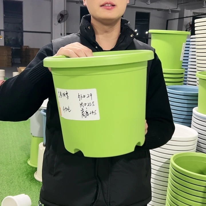 特价5号口29高24.5白色5只无托