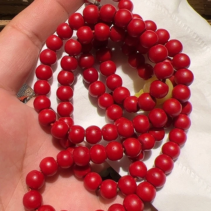 香榧木你是否也有