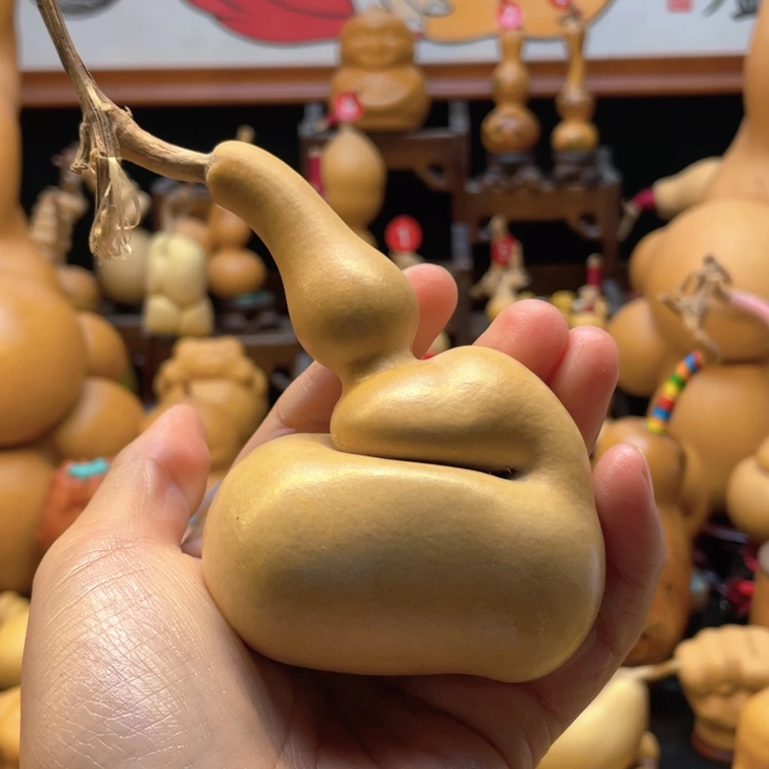 茜*大自然的秘密第十一节的