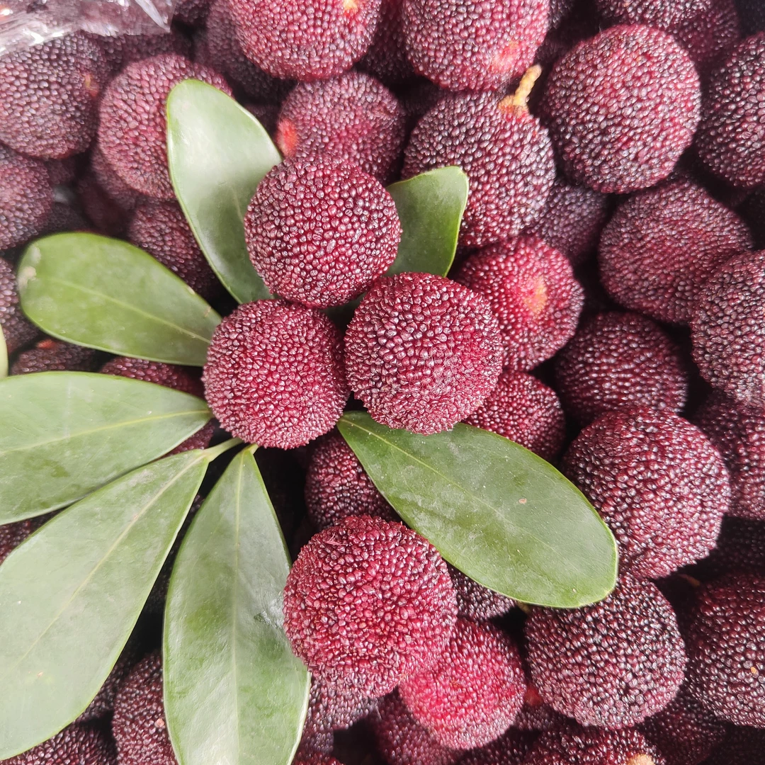 新鲜杨梅/一份一斤左右