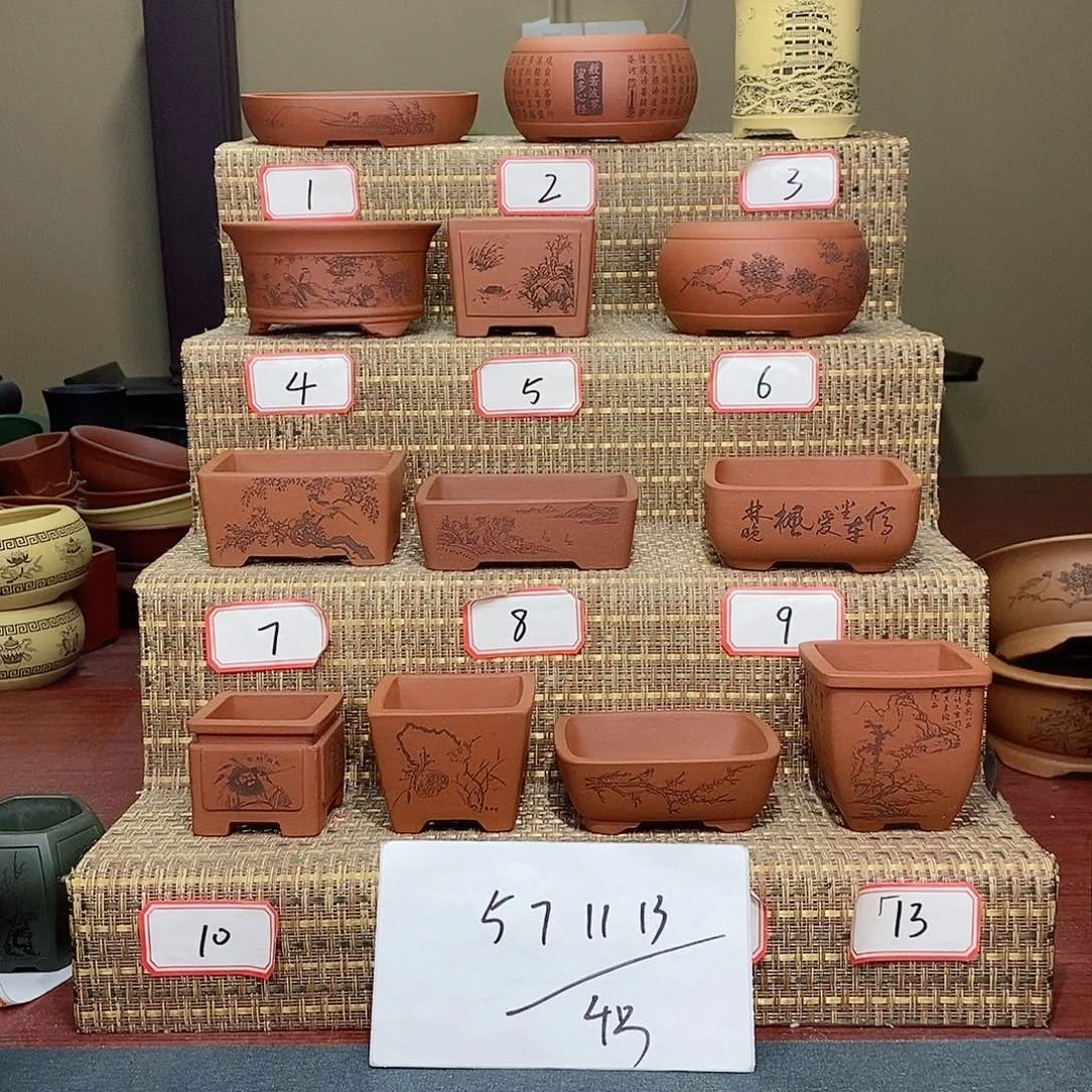 紫砂花盆凡*哥我在看电影