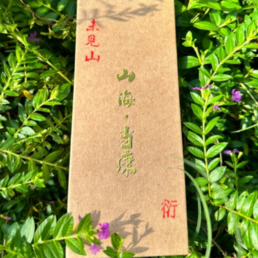 未见山山海系列·当康「刘官寨肉桂」武夷山正岩肉桂「1」泡装8.3克