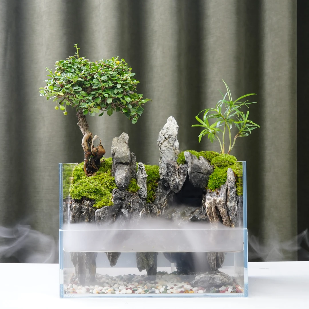 蓬莱仙境—福建茶室内桌面绿植景观室内小绿植带雾化流水增氧