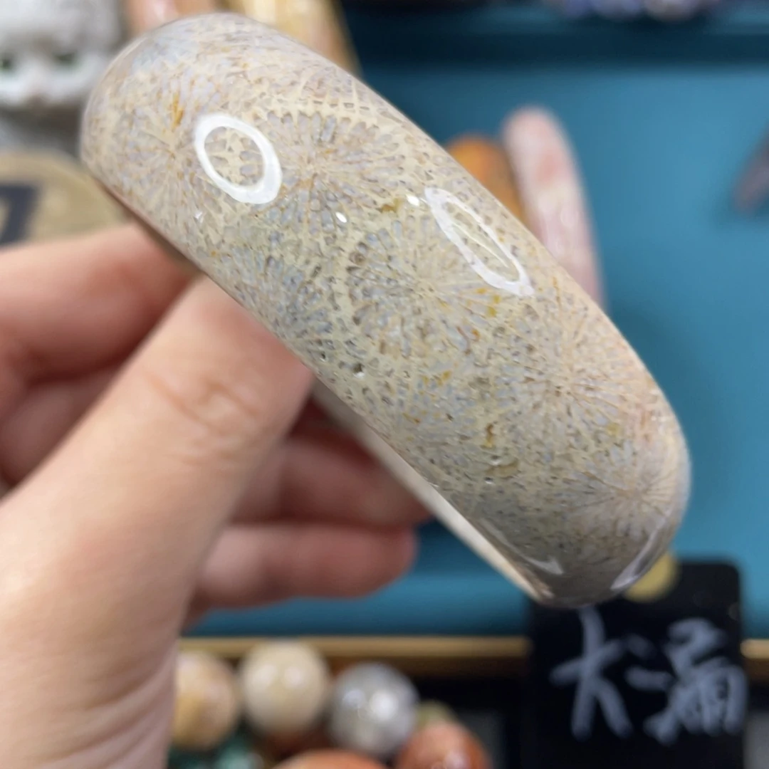未镶嵌手镯硅化玉
