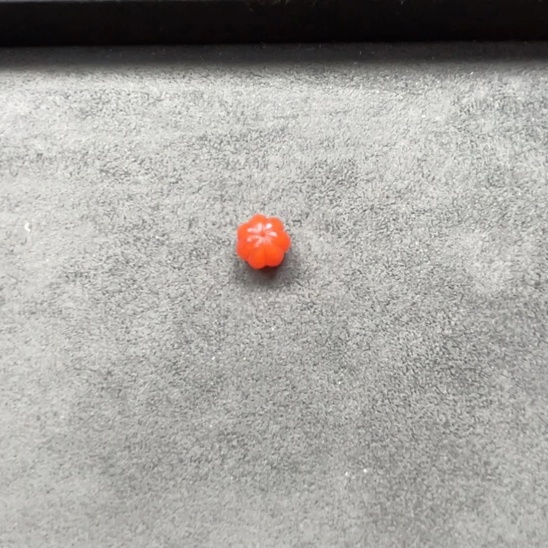 南红玛瑙11➕瓜珠未镶嵌天**贝