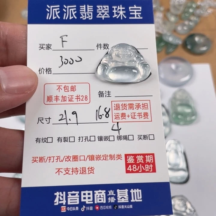 颈饰未镶嵌翡翠F****g