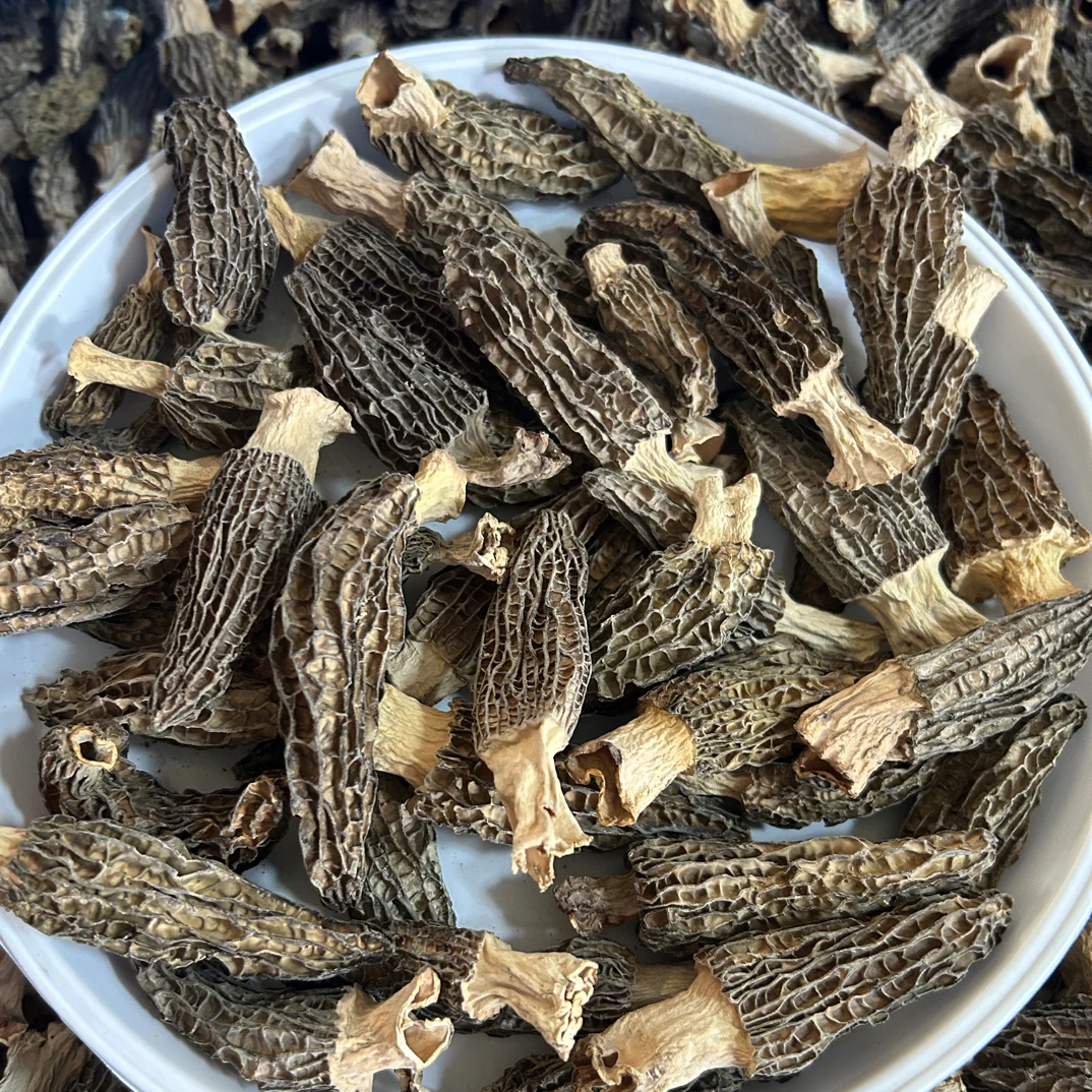 ✅特惠3一7公分羊肚菌✅中个头