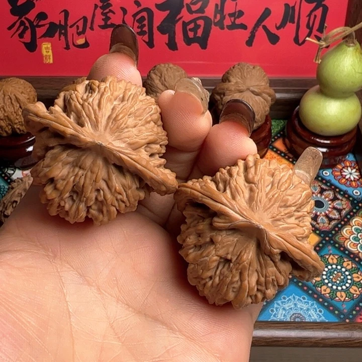 核桃全品无修四座楼