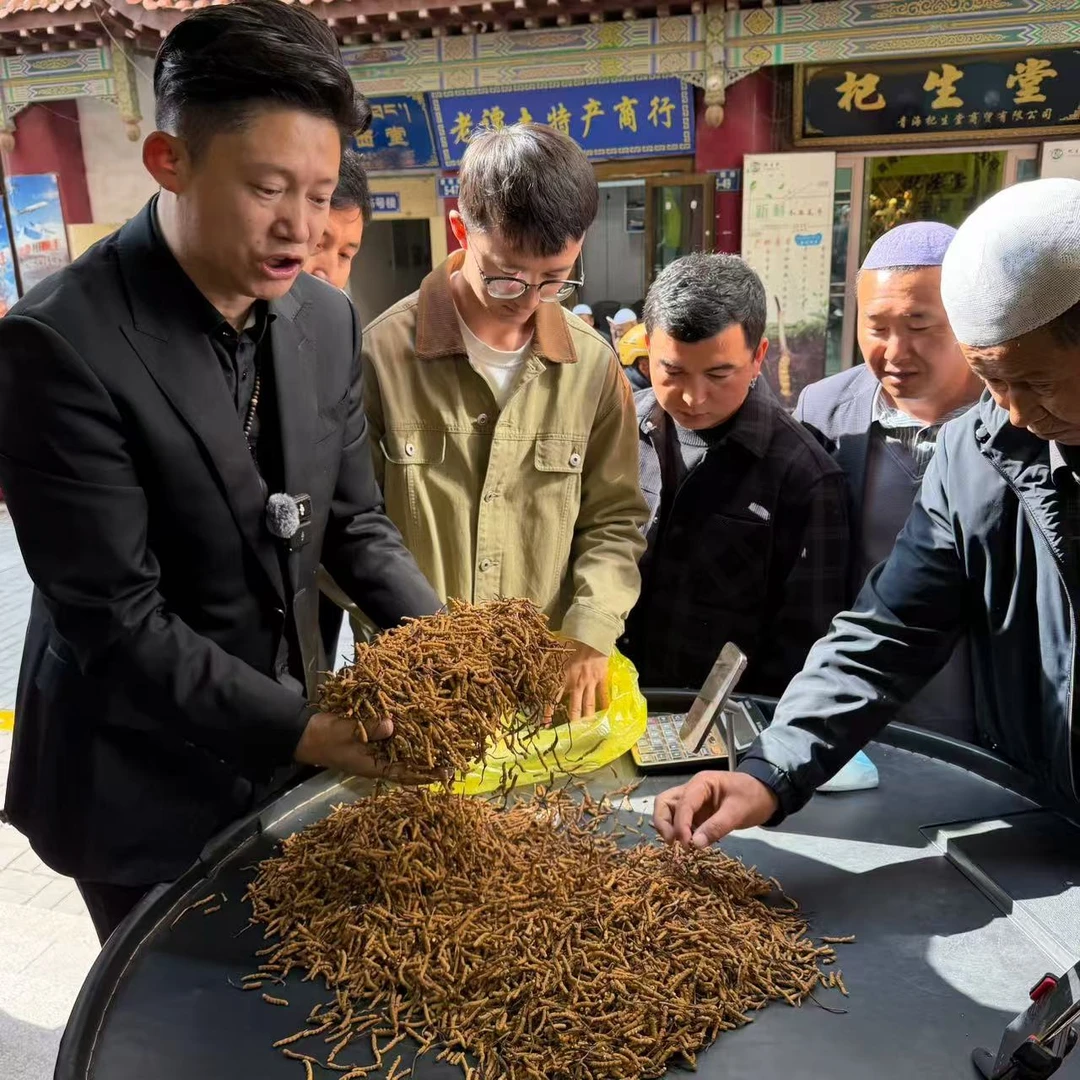 【冬虫夏草】断草 货好现场现卖 自然晒干 品质滋补实拍图