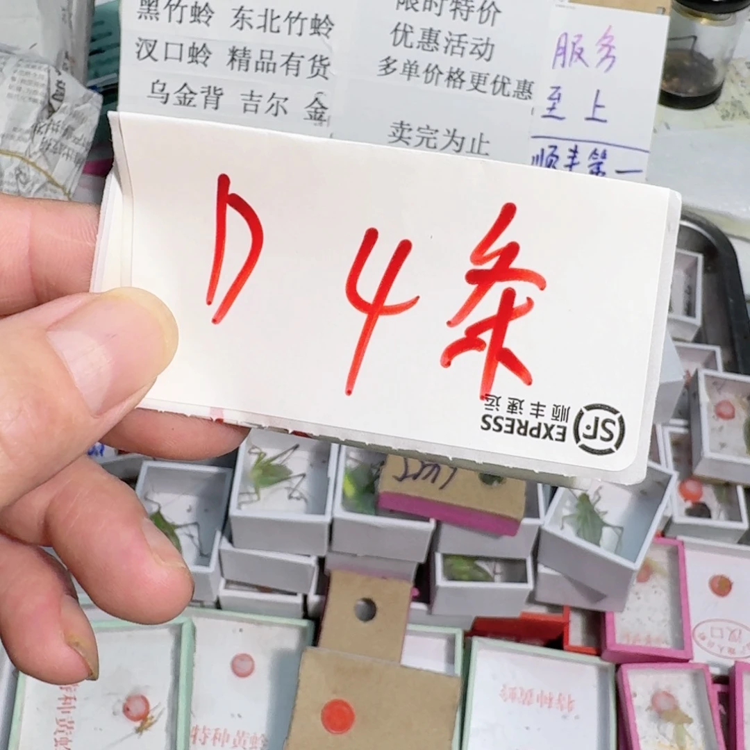 鹤***3蝈蝈你的电话怎么一直关机呢