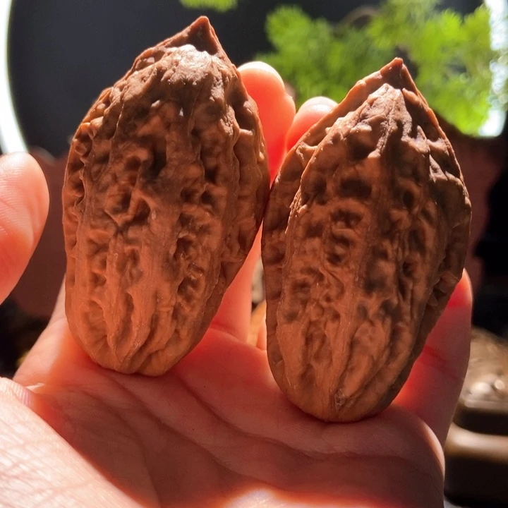 吊坠文玩核桃意大利炮60