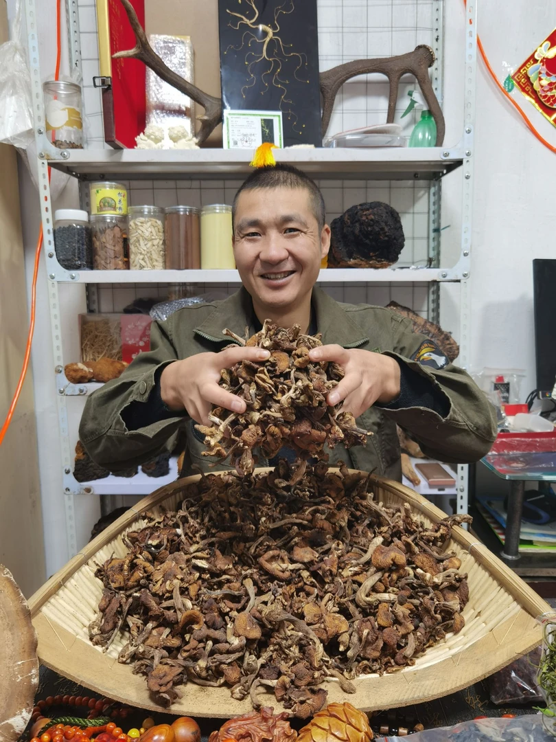 深山野生榛蘑（一斤）包邮