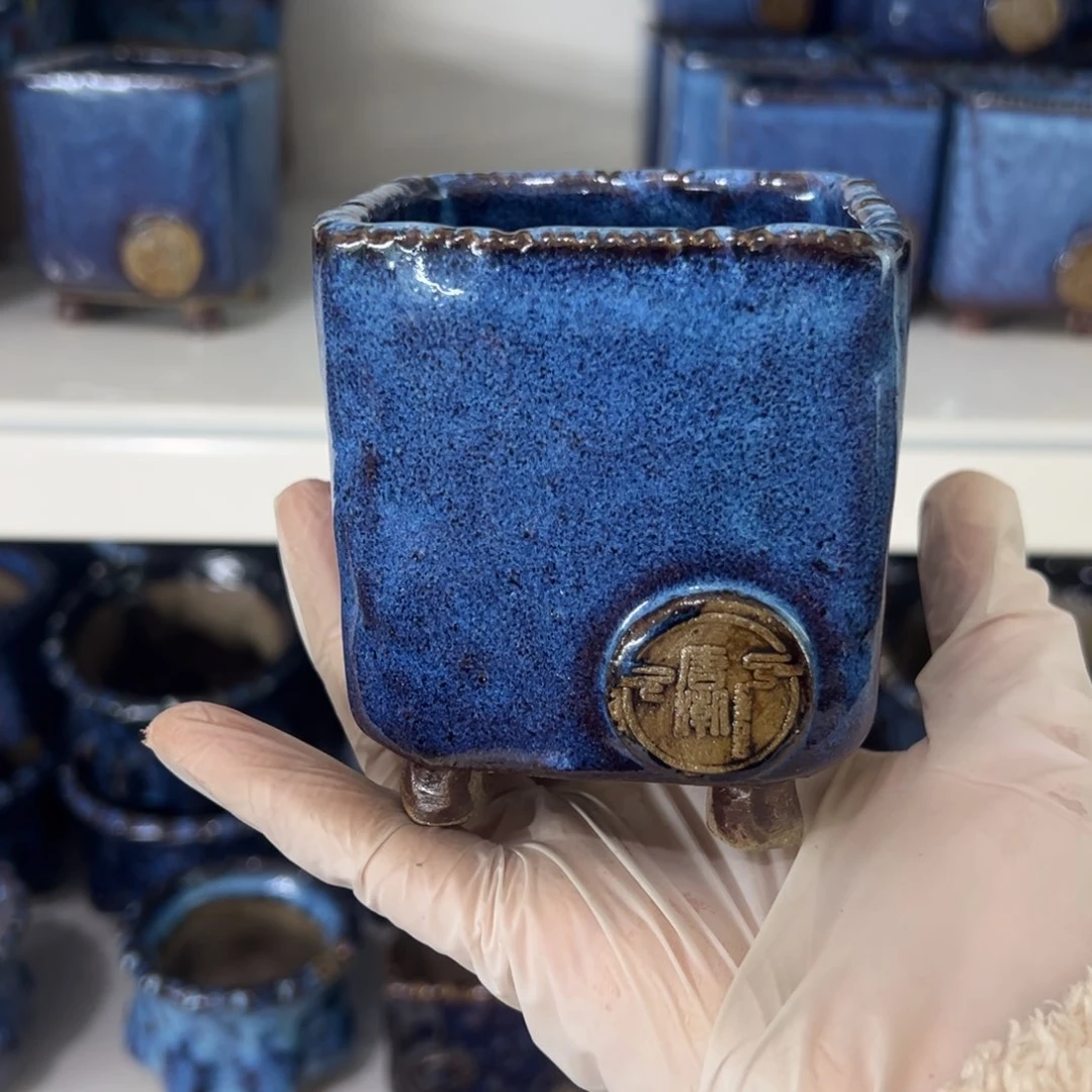 红陶锦**花唐朝多肉花盆