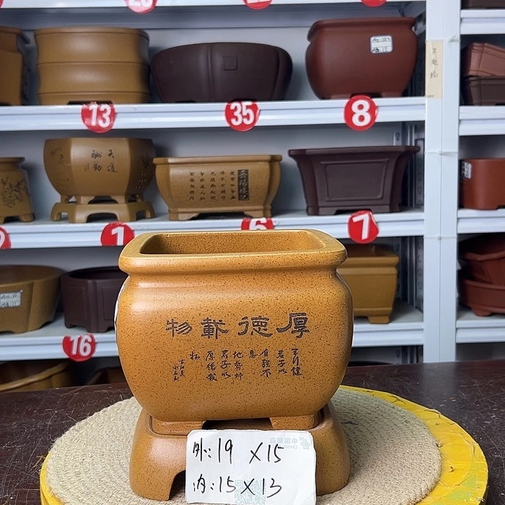 紫砂花盆你在一起