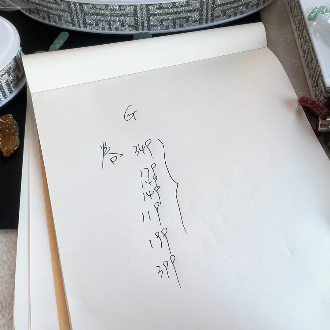 颈饰未镶嵌翡翠G****a一起