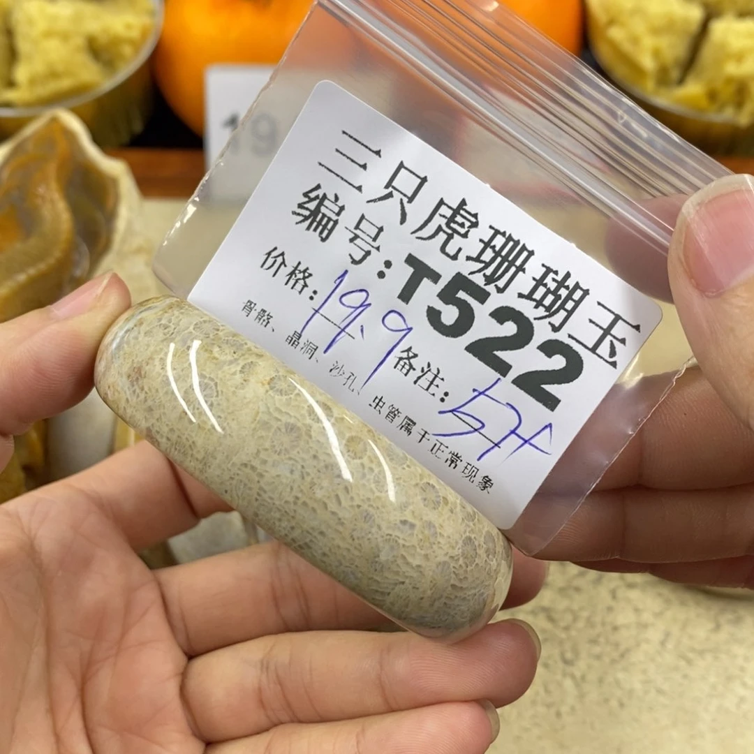 硅化珊瑚（珊瑚玉）1未镶嵌晴*