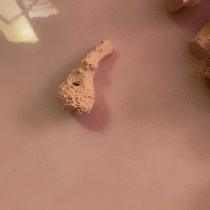 顺***水黄杨木等多种木材
