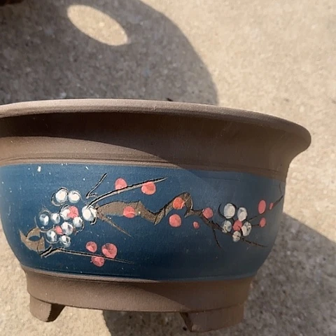 紫砂宜兴紫砂花盆30蓝富贵点彩大