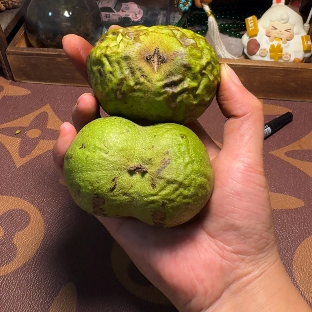 文玩核桃青皮手把件