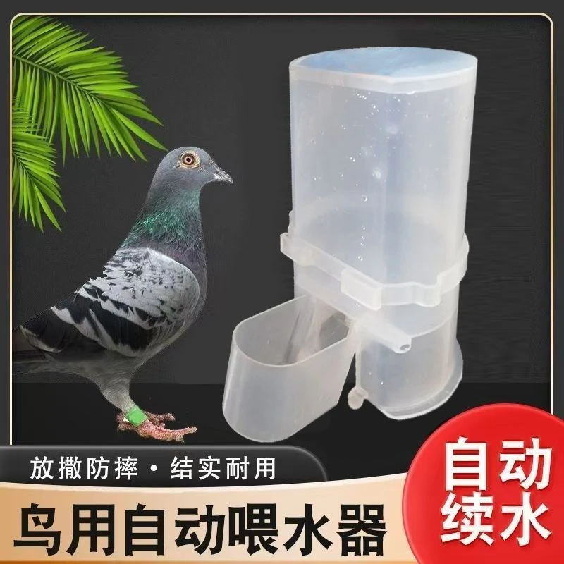 鸽子自动饮水器鹦鹉鸟用喂水杯小鸡饮水槽鸽子用品用具鸽具鸽水壶