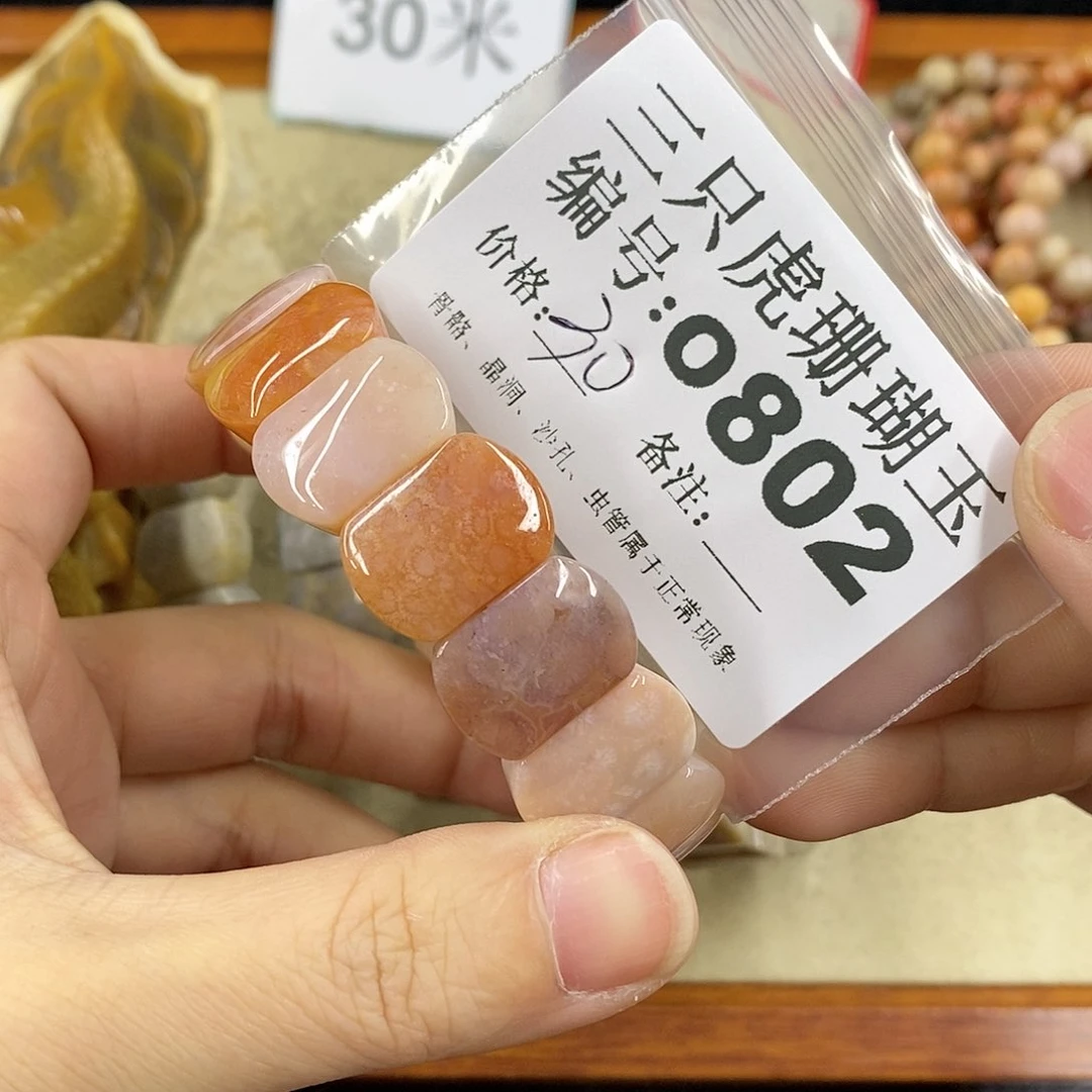 硅化珊瑚（珊瑚玉）1未镶嵌黑**枝