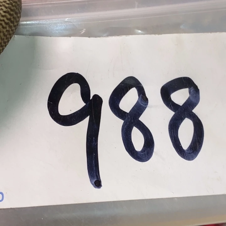 用***6娜娜文玩杂项专属链接