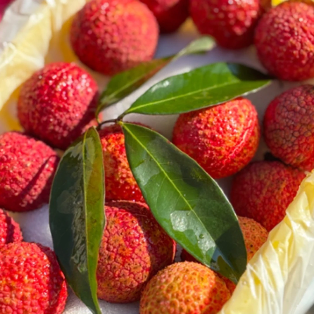 【只发河南省内】正宗海南无核荔枝新净重2.5斤左右 河南郑州发货同城送河南省