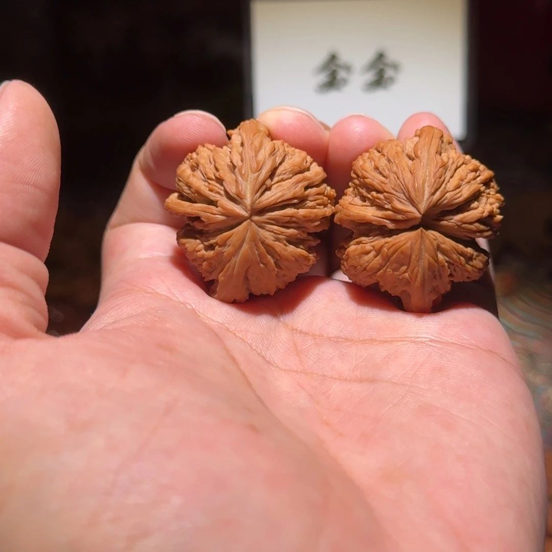 核桃把件001连体，凹底南疆石