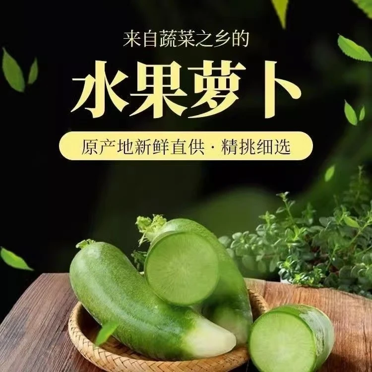 （新疆包邮）正宗山东潍坊青皮水果萝卜生吃脆甜辛辣感低